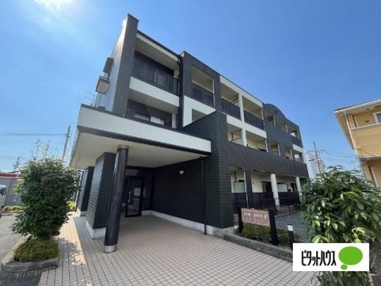 �J�[�T�O���[���U �O�ώʐ^