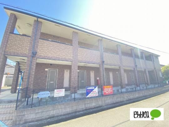 �t�W�p���X������ �O�ώʐ^