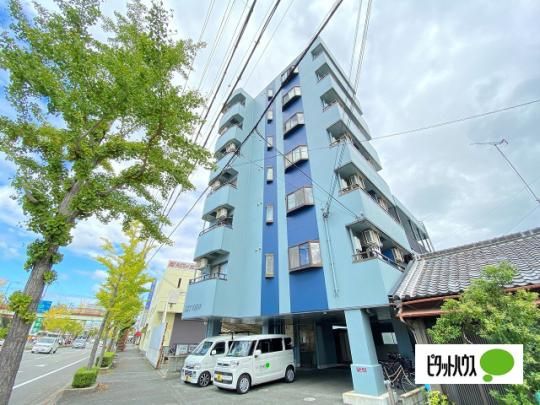 �X�J�C�r���[ �O�ώʐ^