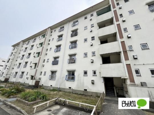 �r���b�W�n�E�X��Q�Q���� �O�ώʐ^