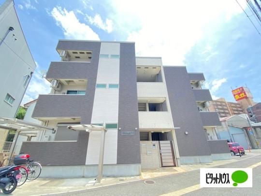 �t�W�p���X���V���T�E�X �O�ώʐ^