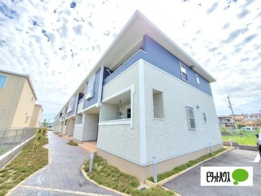 �v�e�B�{�k�[���T �O�ώʐ^