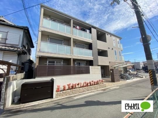 �G�N�Z���[�g �O�ώʐ^