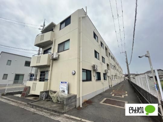 �Z���`�����[�R�[�g�I�m�� �O�ώʐ^