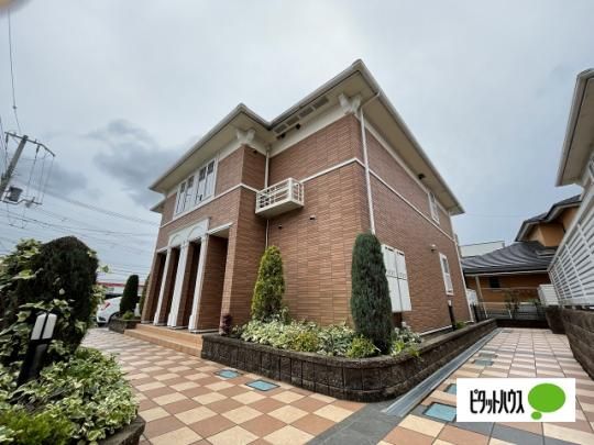 �V�����p���e�B�G�T �O�ώʐ^