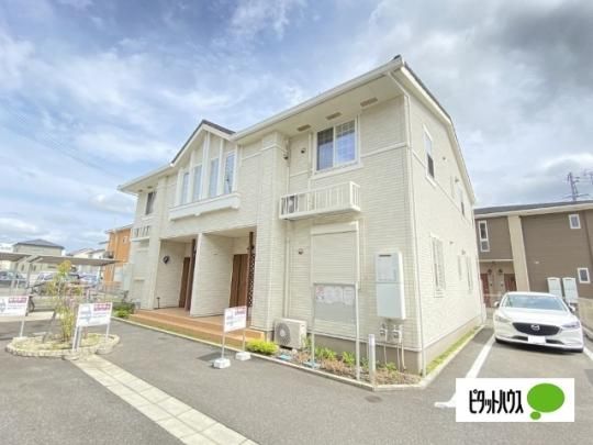 �A���R�o���[�m�@�c �O�ώʐ^