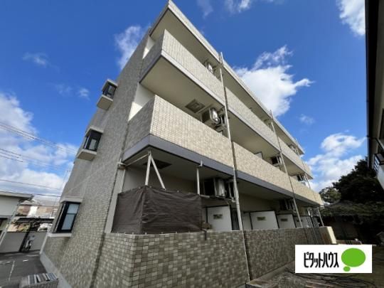 �p�e�B�iA �O�ώʐ^