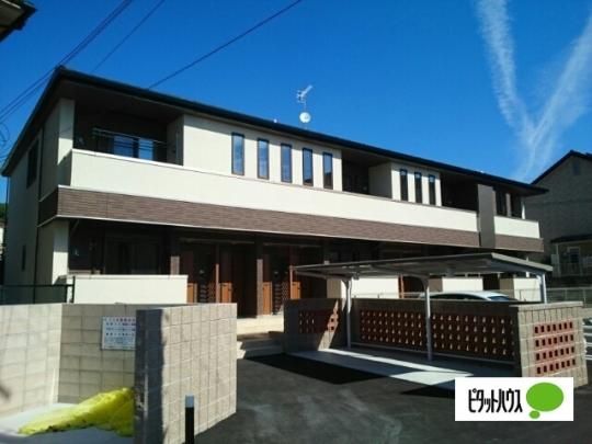 �t�H���g�D�[�i�X �O�ώʐ^