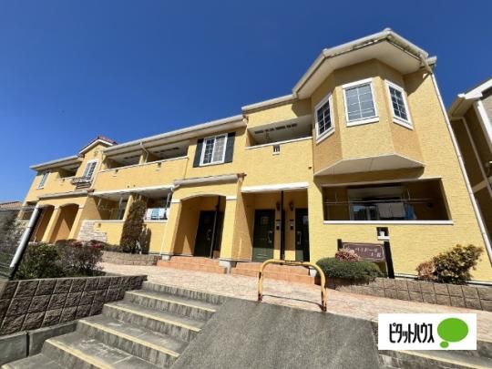 �p�~�h�[���T �O�ώʐ^