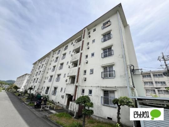 �r���b�W�n�E�X��21���� �O�ώʐ^