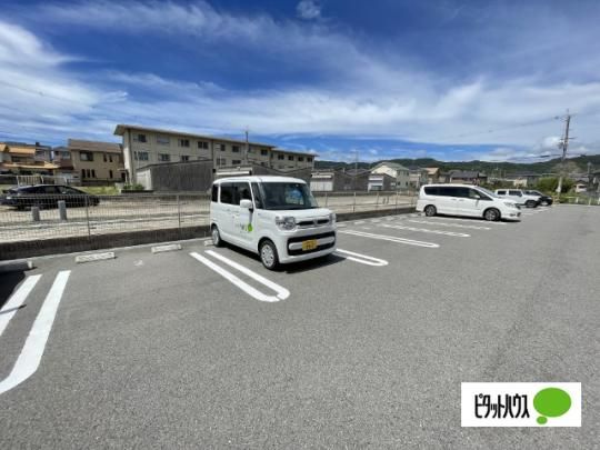 �v�e�B�{�k�[���U �O�ώʐ^