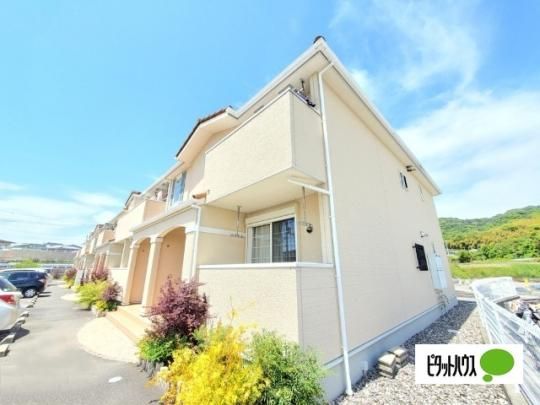 �J�[�T�E�\���C���@�a �O�ώʐ^