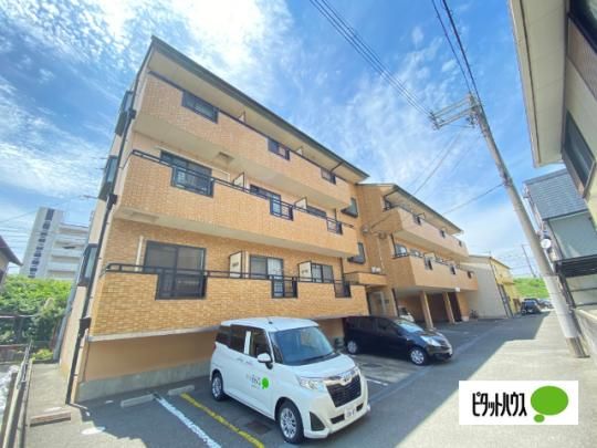 �G�X�|���[�����V�� �O�ώʐ^