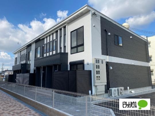 �R�[�������B�����[�� �O�ώʐ^