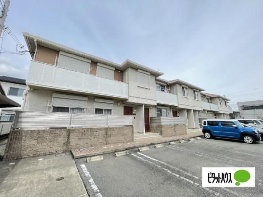 �V���[���]���z�U �O�ώʐ^