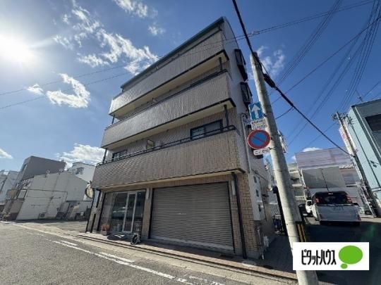 �߂��݃n�C�c �O�ώʐ^