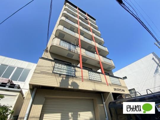 �V�e�B�K�[�f���V�� �O�ώʐ^