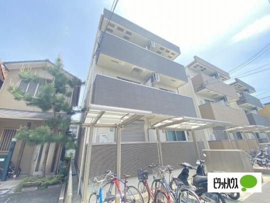 �t�W�p���X�s�w���V�Ԋ� �O�ώʐ^