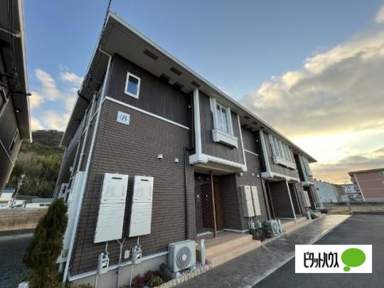 �G�g���[���A�\�J�` �O�ώʐ^