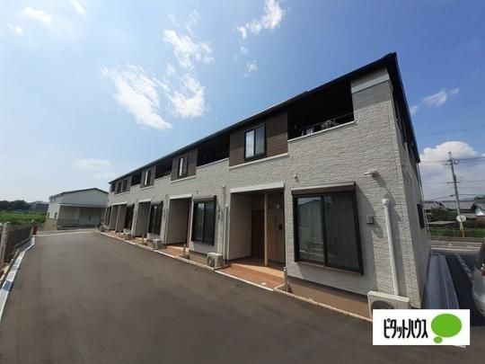 �n�[���j�[�I�̐�@�T �O�ώʐ^