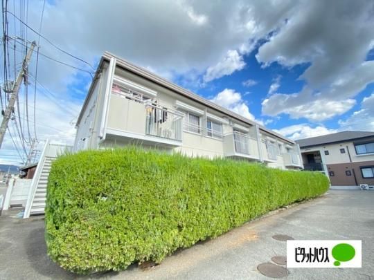 �t�H�[�u�����[ �O�ώʐ^