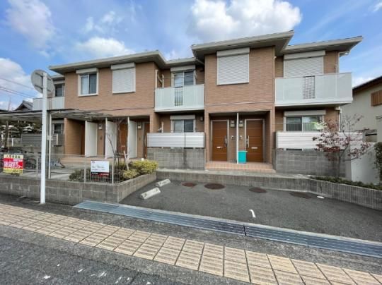 �V���[���]��i �O�ώʐ^