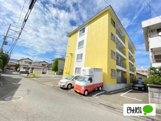 �J�T�E�f���̂� �O�ώʐ^