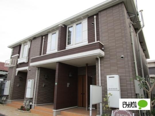 �v���Z�[�� �O�ώʐ^