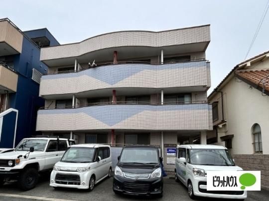 �V�[�O���C�X �O�ώʐ^