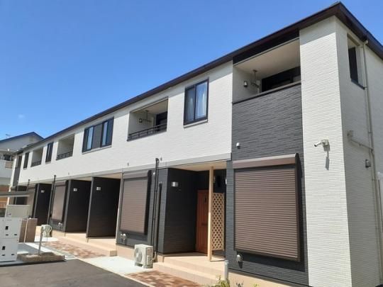 �V���{���f�B �O�ώʐ^