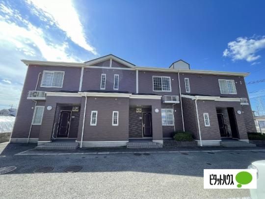 �\���A�[�h�E�p���U �O�ώʐ^