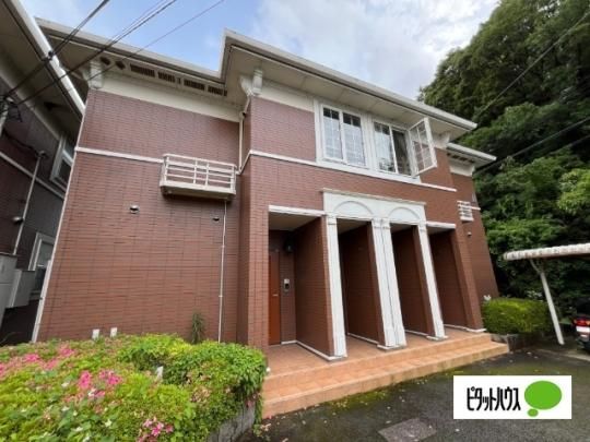 �T�����b�g�@�U�@�i�L�c�쒬�j �O�ώʐ^