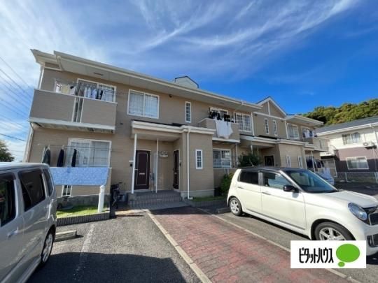 �p���E���t�B�l �O�ώʐ^