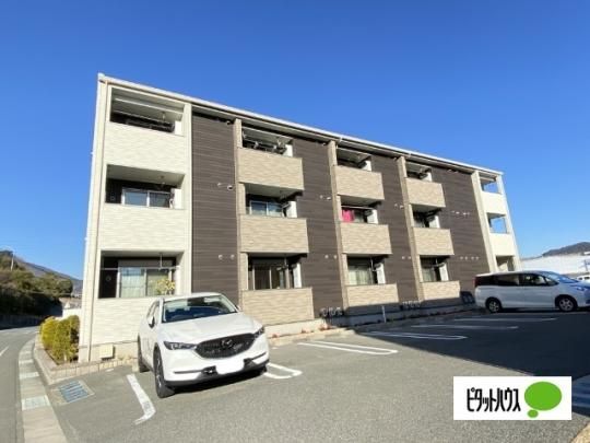 �A���W���[���`�q�h�c�`�@�T �O�ώʐ^