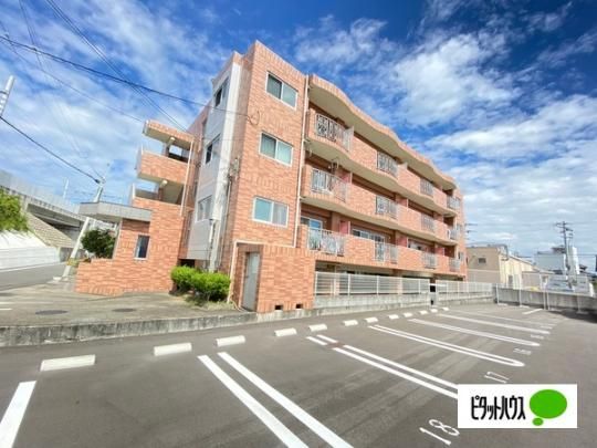 �J�T�E�f�����̂� �O�ώʐ^