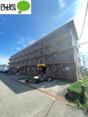 COTE DE ORANGE �O�ώʐ^