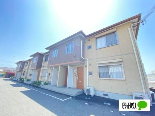 �t���[�����E�A�C�U �O�ώʐ^