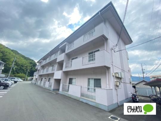 �A�C���XMT �O�ώʐ^