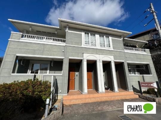 �v�����i�[�h�q �O�ώʐ^