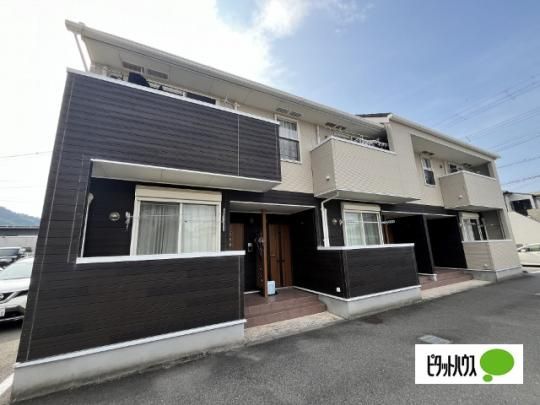 ���B�b�Z���L�c�@�T �O�ώʐ^