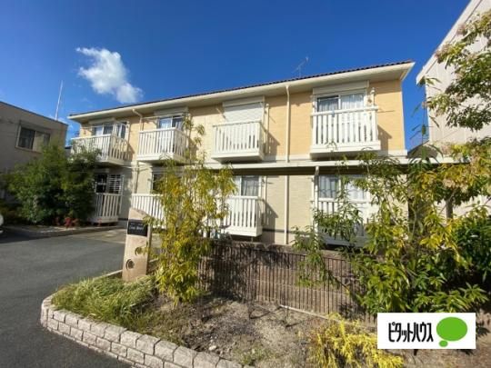 �J�[�T�E�x�A�[�� �O�ώʐ^