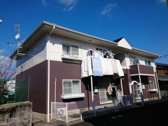 �G���f�B���{���T �O�ώʐ^