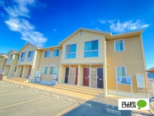 D-room�����@B�� �O�ώʐ^