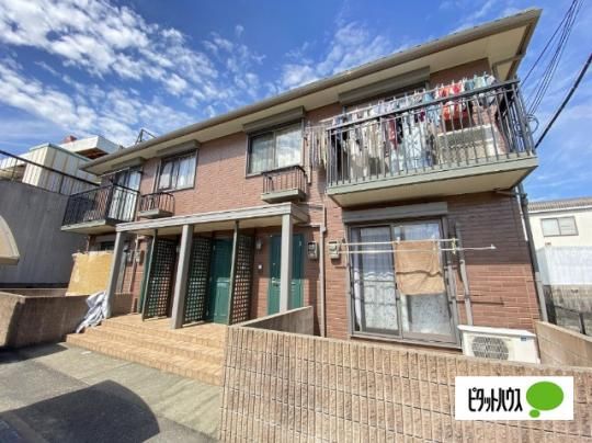 ���]���E�����e���x�[���X�@B�� �O�ώʐ^