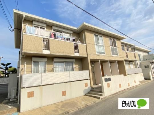 �t���[�����l �O�ώʐ^