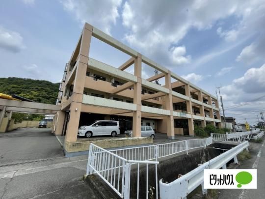 �u�G�i�r�X�^�a�̎R�m�[�X �O�ώʐ^