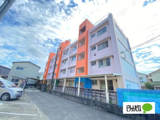 �v���X�K�[�f�������� �O�ώʐ^