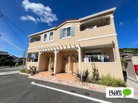 �X�J�C�v���l�b�g�U �O�ώʐ^