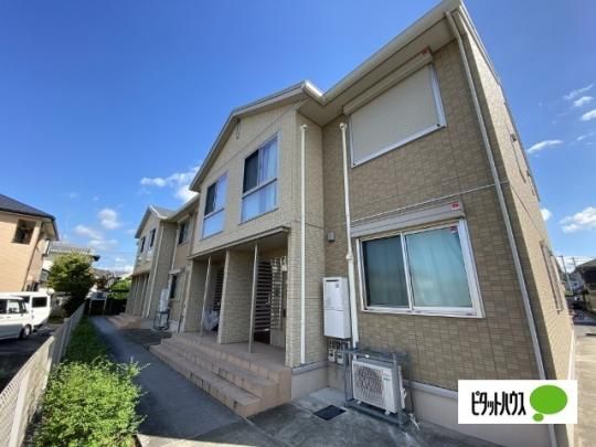 �G�N�����[�W���@�U �O�ώʐ^