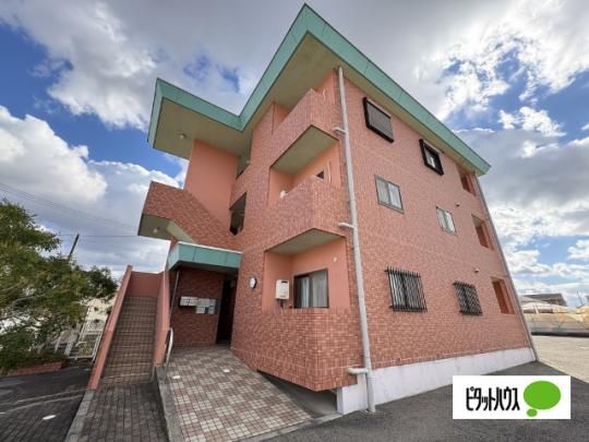 ���j�I���R�[�g�؃m�{ �O�ώʐ^